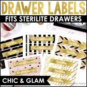 Editable Drawer Labels for Teachers – Chic & Glam Classroom Decor