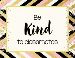 Classroom Rules and Expectations Posters – Chic & Glam Classroom Decor